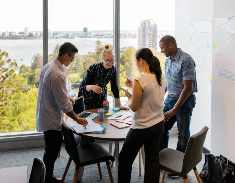 Change Manager working with Project team